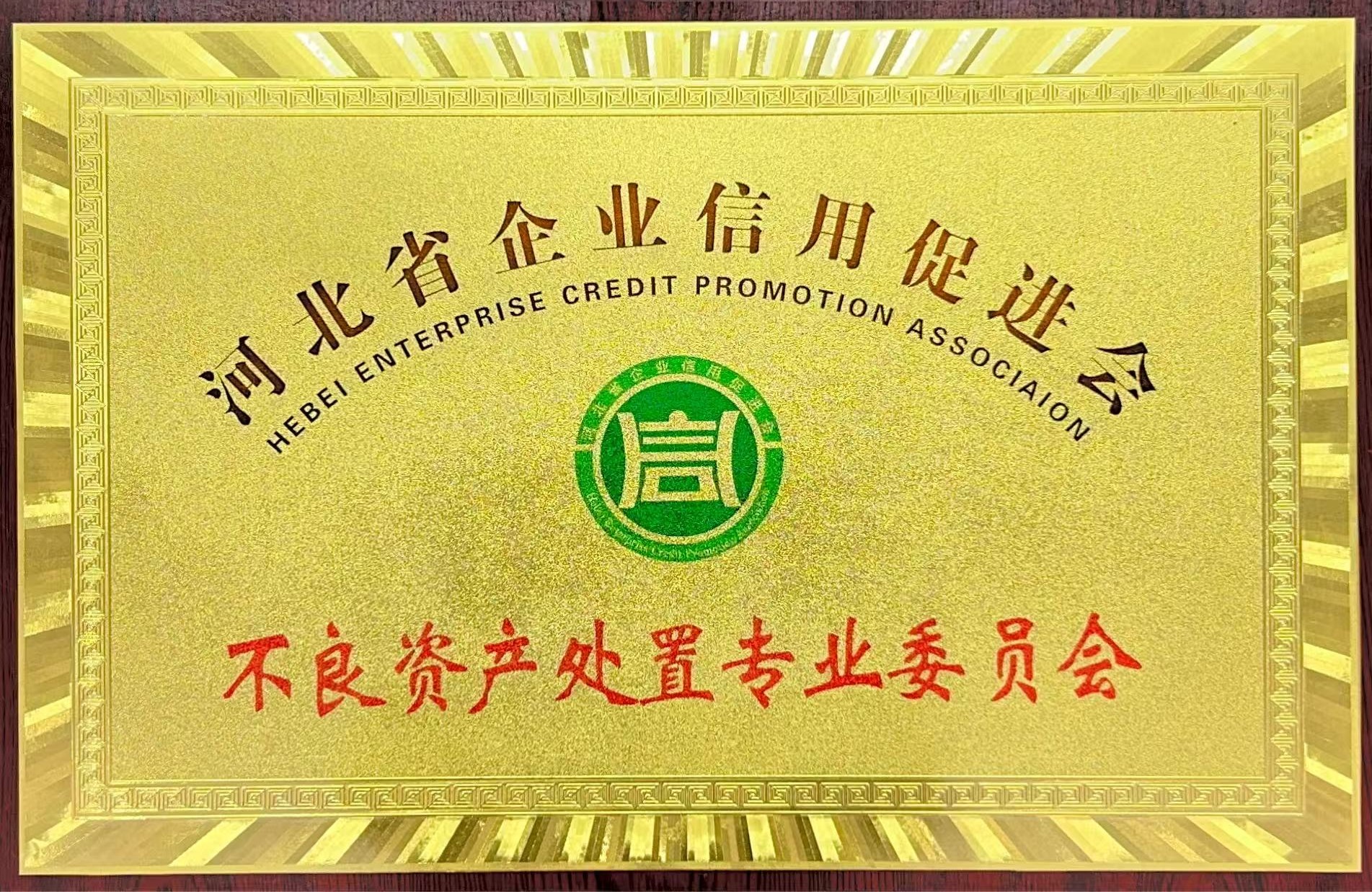 不(bù)良資産處置專業(yè)委員(yuán)會(huì)